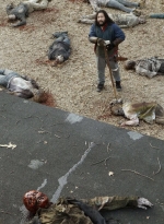 twd1119_scnet_2101.jpg