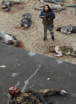 twd1119_scnet_2102.jpg