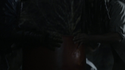 twd1124_scnet_1992.jpg