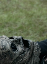 twd1124_scnet_2184.jpg