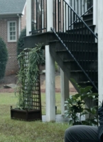 twd1124_scnet_2208.jpg