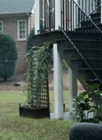 twd1124_scnet_2209.jpg