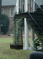 twd1124_scnet_2210.jpg