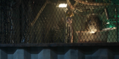 twddaryldixon105_scnet_2044.jpg