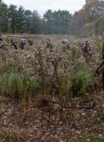 the-walking-dead-dead-city-s03e03-emigrants-038.jpg