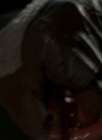 twd_theoneswholive106_scnet_0764.jpg