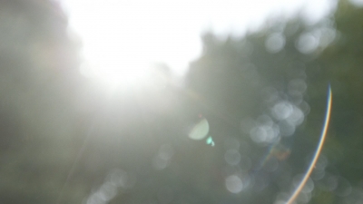 worldbeyond102_scnet_0002.jpg
