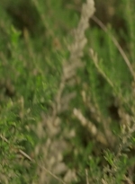 worldbeyond102_scnet_1350.jpg