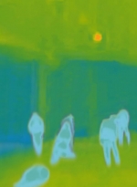 worldbeyond107_scnet_1268.jpg