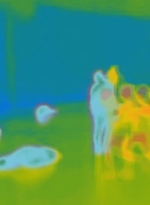 worldbeyond107_scnet_1271.jpg