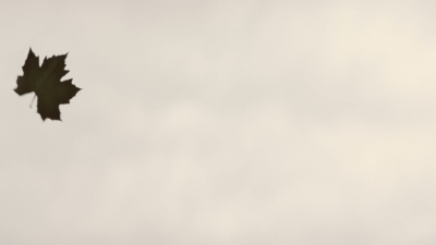 worldbeyond208_scnet_1908.jpg