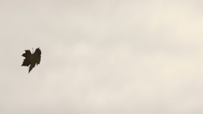 worldbeyond208_scnet_1909.jpg