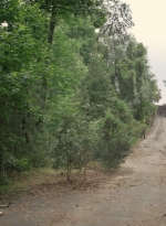 worldbeyond209_scnet_0814.jpg